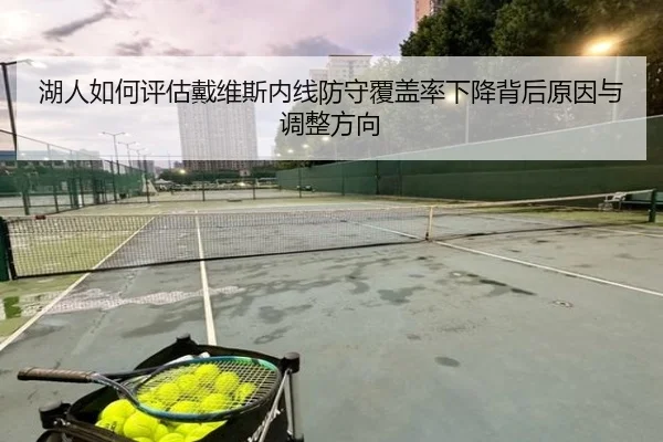 湖人如何评估戴维斯内线防守覆盖率下降背后原因与调整方向